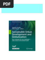 Sustainable Urban Development and Globalization: New Strategies For New Challenges-With A Focus On The Global South 1st Edition Agostino Petrillo