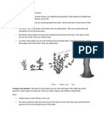 Getting To Know Plants Class 6 Notes