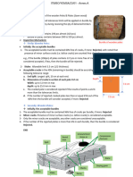 Annex A Wood Specifications & Accepted Crack Details