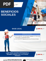 Beneficios Sociales