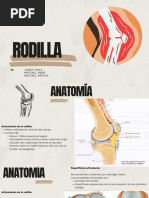 RODILLA