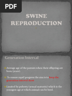 SWINE Breeding