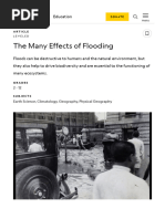 The Many Effects of Flooding