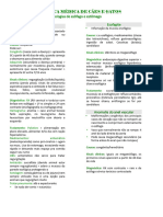 Patologias Do Esôfago e Estômago