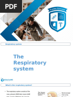 The Respiratory System