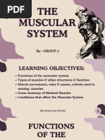 The Muscular System