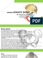 Pelvis Bone