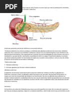 Sistema Endócrino 1