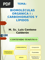 Biomoléculas Orgánicas I - Carbohidratos y Lípidos