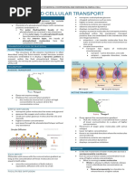 Osmosis and Cellular Transport