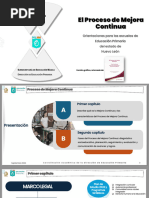 DEP - Proceso de Mejora Continua (Orientaciones)