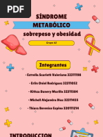 Sindrome Metabolico