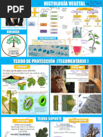 Biología - Miguel Bazán