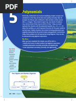 Chapter 5 Polynomials