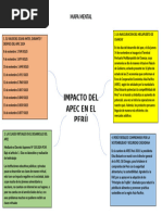 Mapa Mental Impacto Del Apec en El Peru