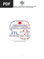 Nervous System-Lec.1