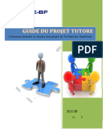 Isge-Guide Des Projets Tutorés - 2024-2025