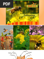 Unit 1.5 Pollination