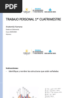 TRABAJO PERSONAL 1er CUATRIMESTRE ALUMNOS PDF Copia 2