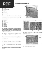 Lista de Exercícios para A A1