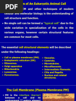 Cell Membrane