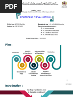 Presentation Portfolio Rachida