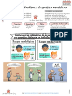 Tareas - Problemas Genética - Leyes de Mendel 21 de Febrero de 2023