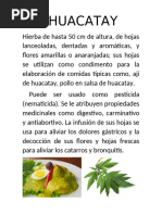 PLANTAS