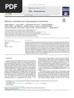 Molecular Mechanisms Governing Aquaporinas Relocalisation