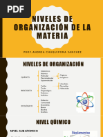 Niveles de Organizacion 2