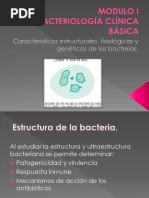 Tema 2 de Bacteriologia