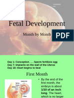 Fetal Development Powerpoint