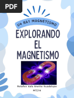  MAGNETISMO