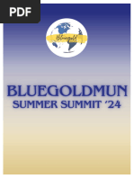 Bgmuns Summer Summit 24'disec Study Guide