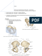 Female Pelvis