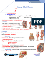 Myology & Back 1