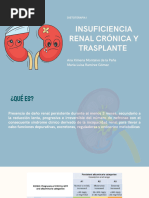 Insuficiencia Renal Crónica y Transplante Renal