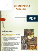 Arthropoda 2020-2