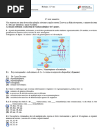 2.º Teste Antigo - D1