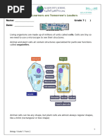 0_100923_Worksheet7Cells