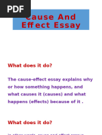 Cause Effect Essay