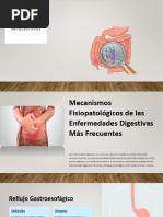 Mecanismos Fisiopatologicos de las Enfermedades Digestivas Mas Frecuentes