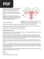 Hemorragia primer y segundo trimestre