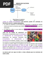 Identificación bacteriana 