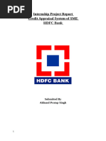 HDFC Project Report