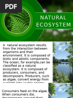 natural_ecosystem