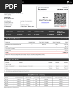 November 2024 Internet Bill