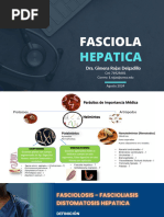 Fasciola hepatica Larva Migrans 14-08-24