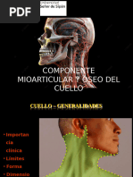 Componente Oseo y Mioarticular Del Cuello