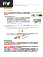 TEMA 3 BIO - Historia de la vida y evolución de los primates